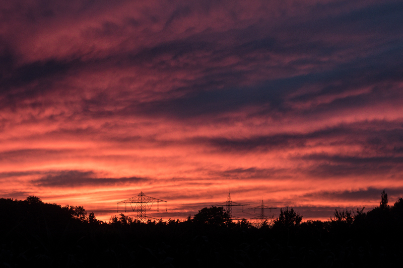 WALKING UNDER BURNING SKIES