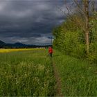 Walking under the looming Sky