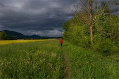 Walking under the looming Sky