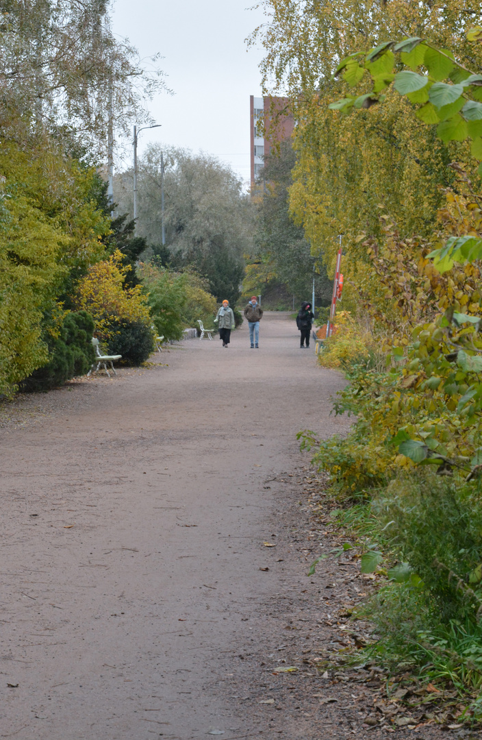 Walking way at autumn