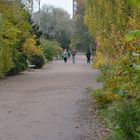 Walking way at autumn