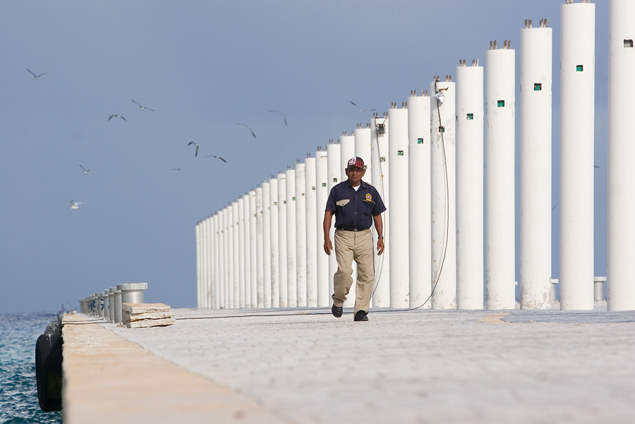 Walking with birds