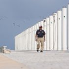 Walking with birds