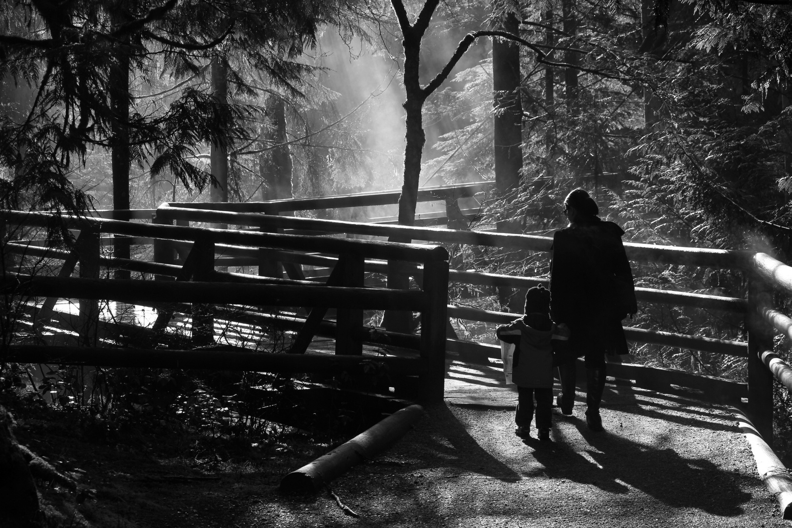 Walking with Mom