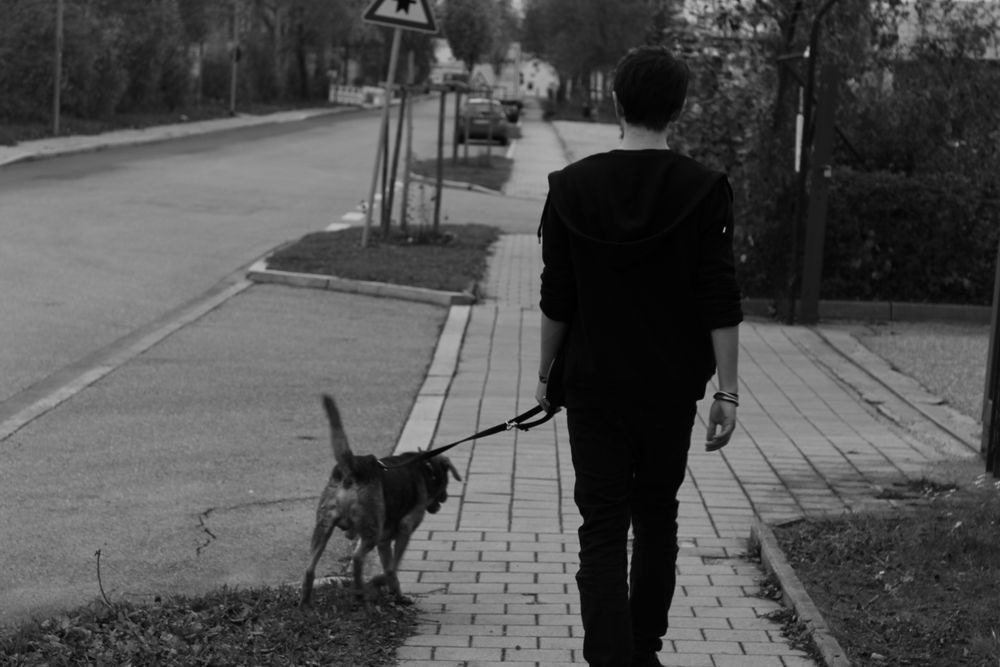 Walking with the Dog