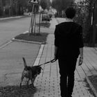 Walking with the Dog