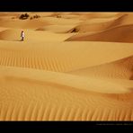 ___walking_the_desert___