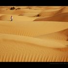 ___walking_the_desert___