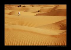 ___walking_the_desert___