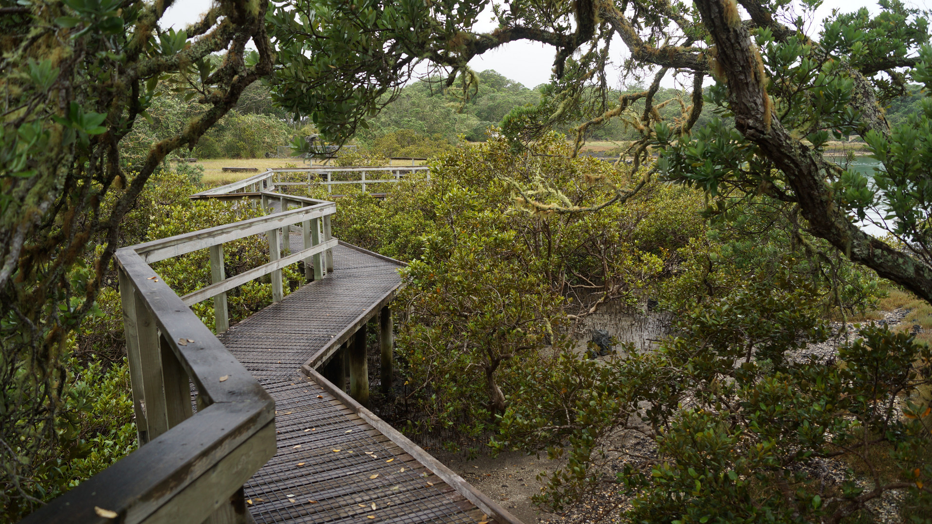 Walkway