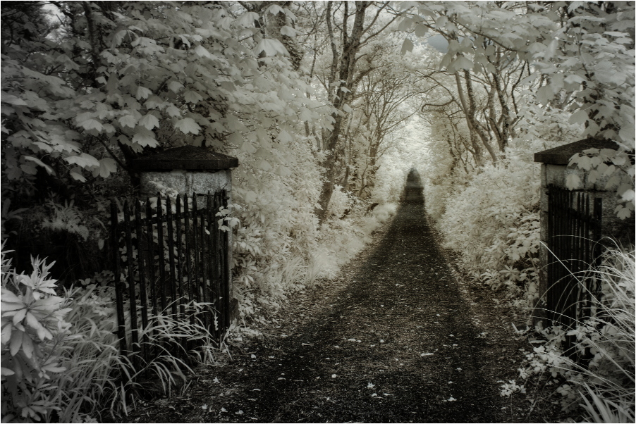 Walkway to St. Thomas