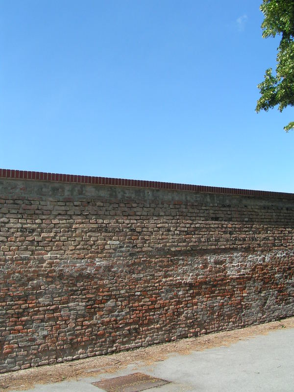 Wall