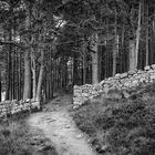 Wall around Glas - allt - Shiel