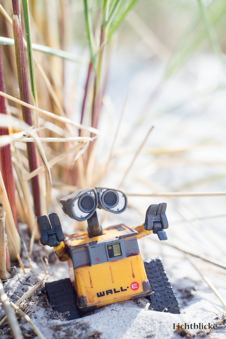 Wall-E macht Urlaub 