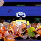 WALL-E und Herbst