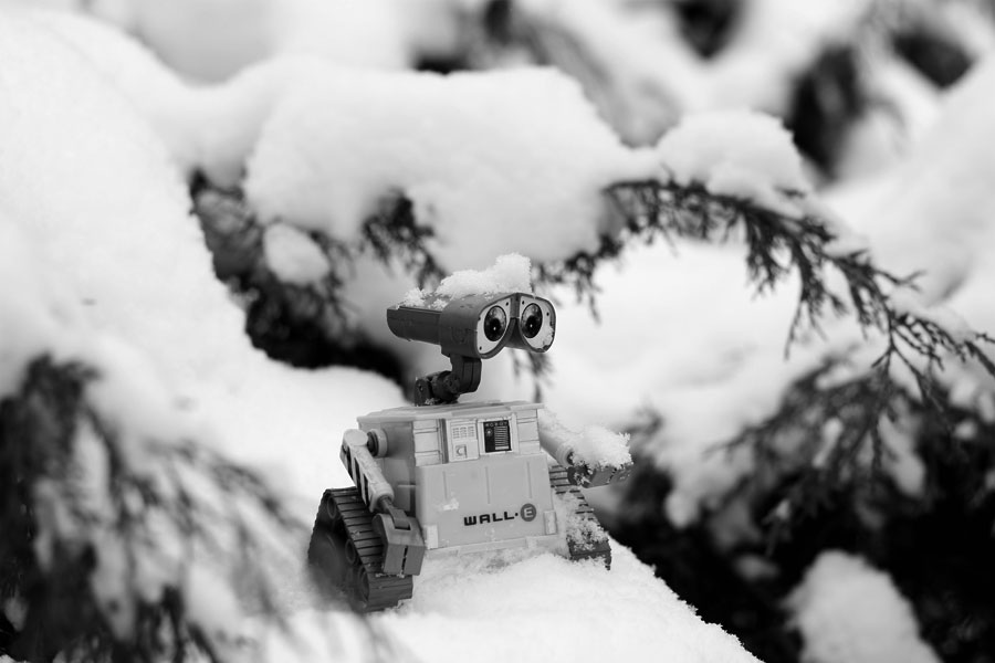 Wall-E und Schnee