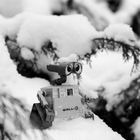 Wall-E und Schnee