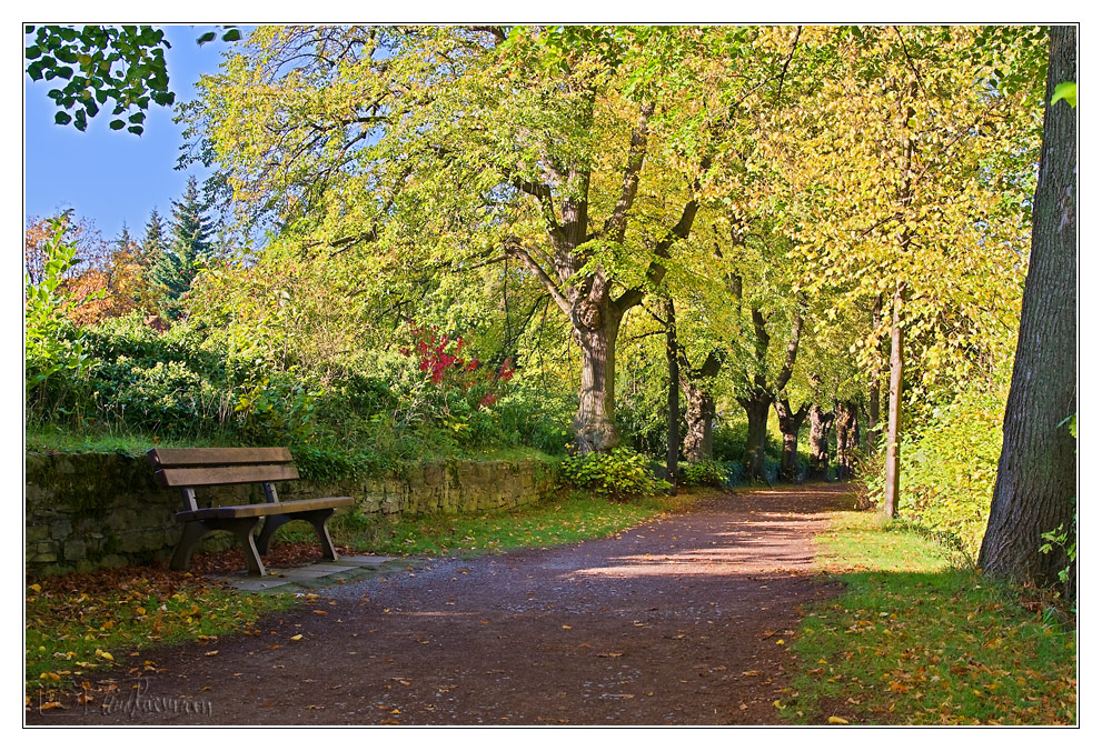 wall im herbst