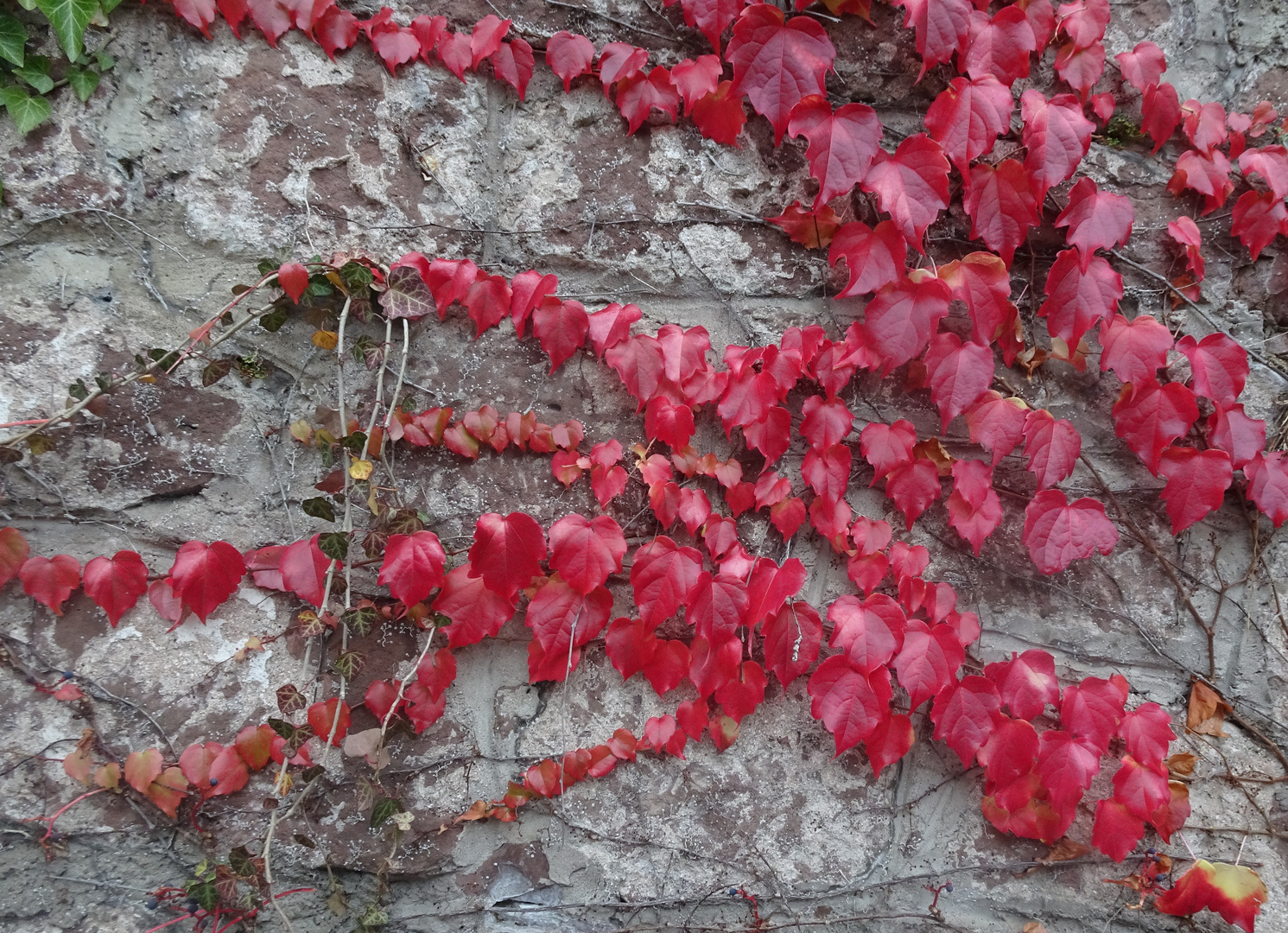 Wall in glowing red