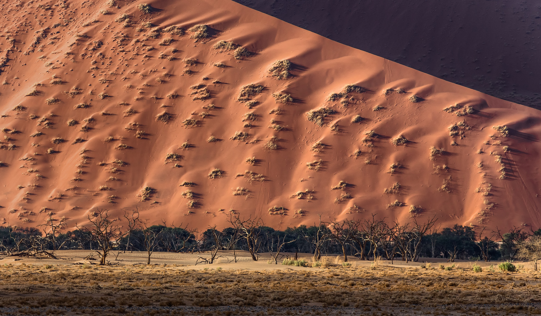 Wall of Sand