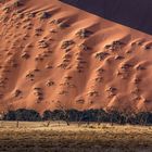 Wall of Sand