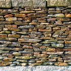 Wall of Stones (with small hiding plant)