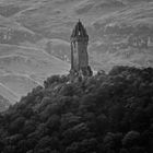 Wallace-Monument