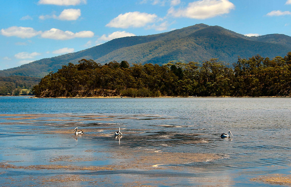 Wallaga Lake