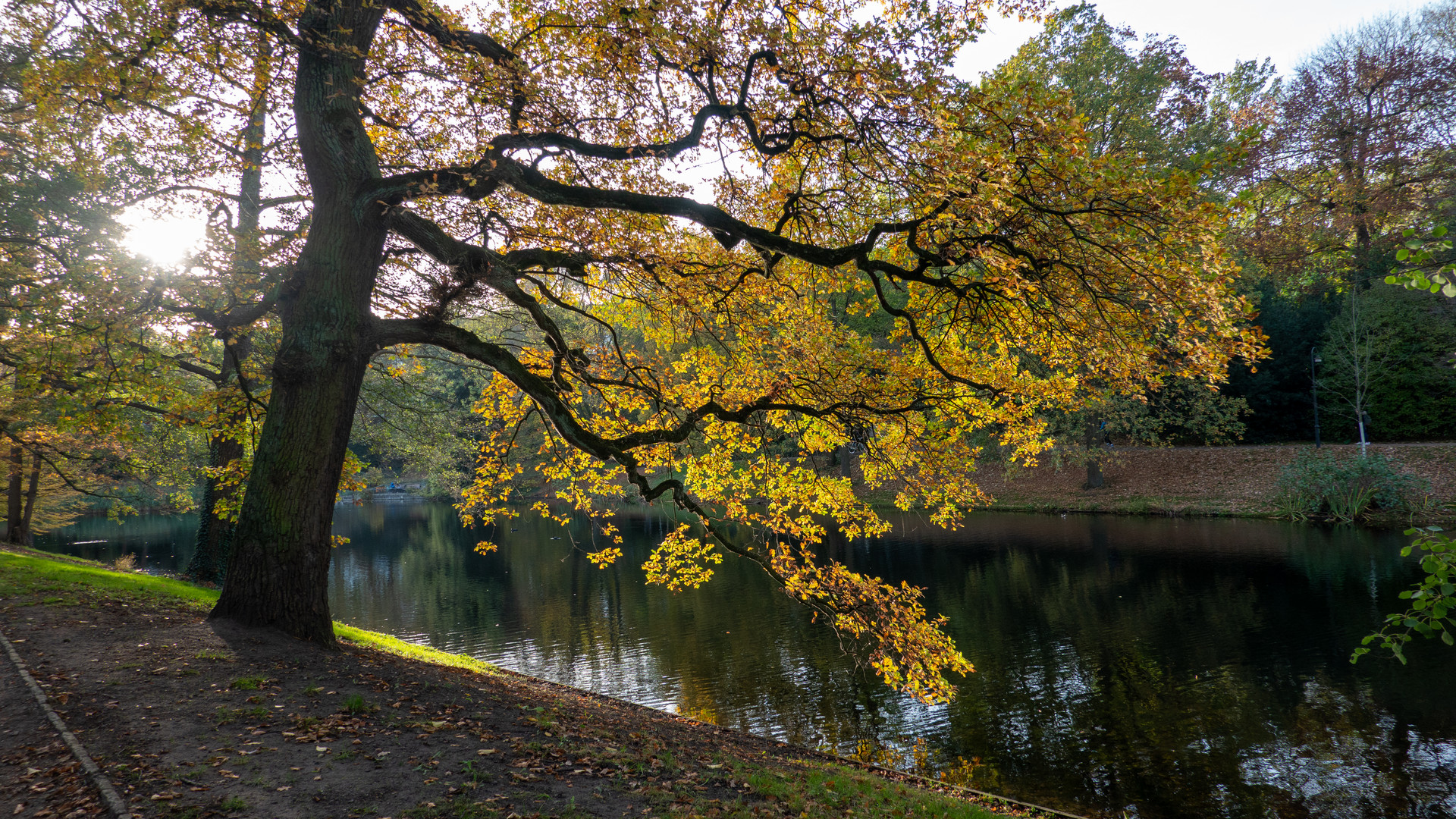 Wallanlagen im Herbst