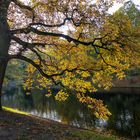 Wallanlagen im Herbst