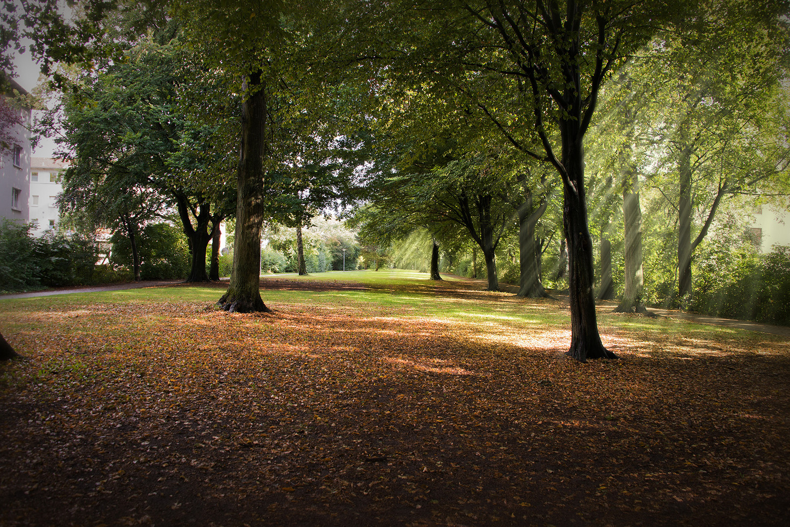 Wallanlagen im Herbst Bremen Gröpelingen