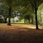 Wallanlagen im Herbst Bremen Gröpelingen