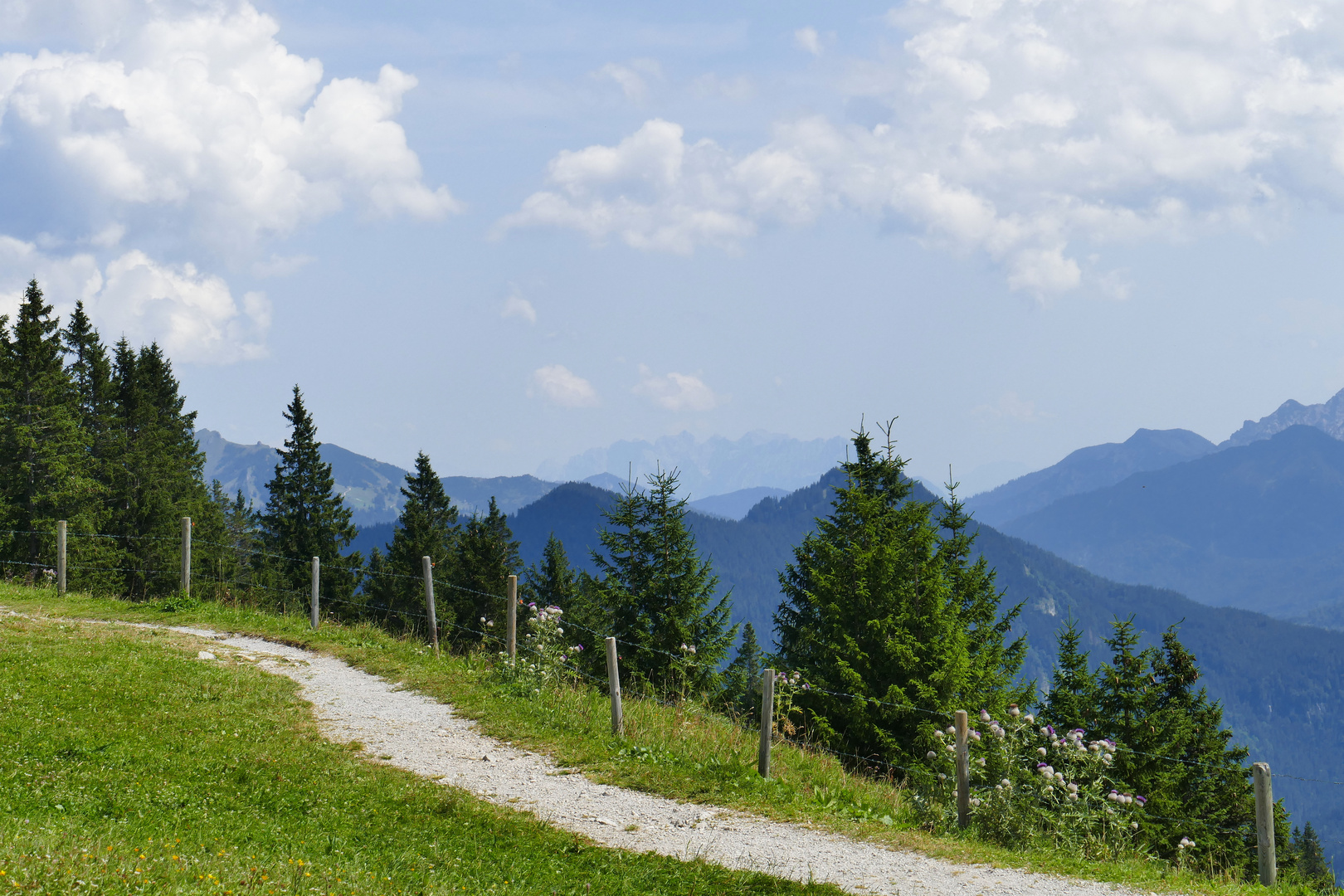 ...Wallberg mit Sicht auf den wilden Kaiser...