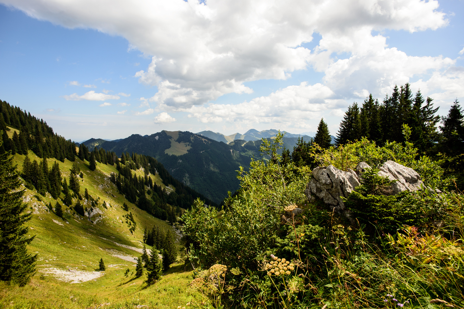 Wallberg / Tegernsee Rückaufstieg