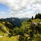 Wallberg / Tegernsee Rückaufstieg