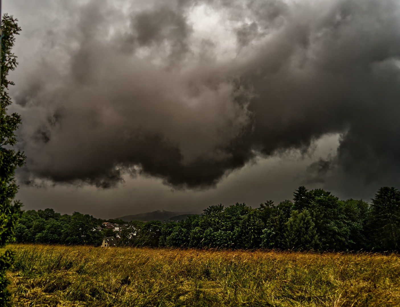 Wallcloud-0005