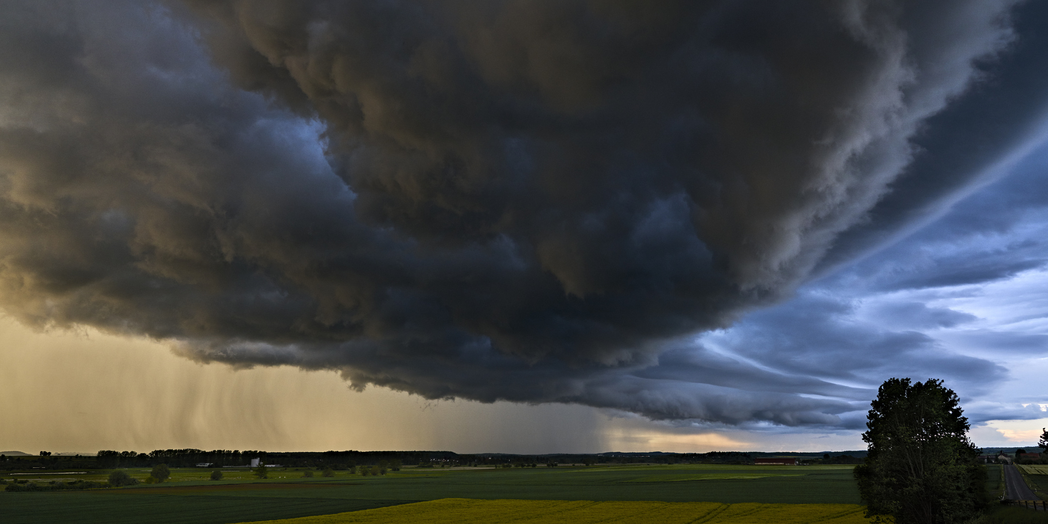 Wallcloud