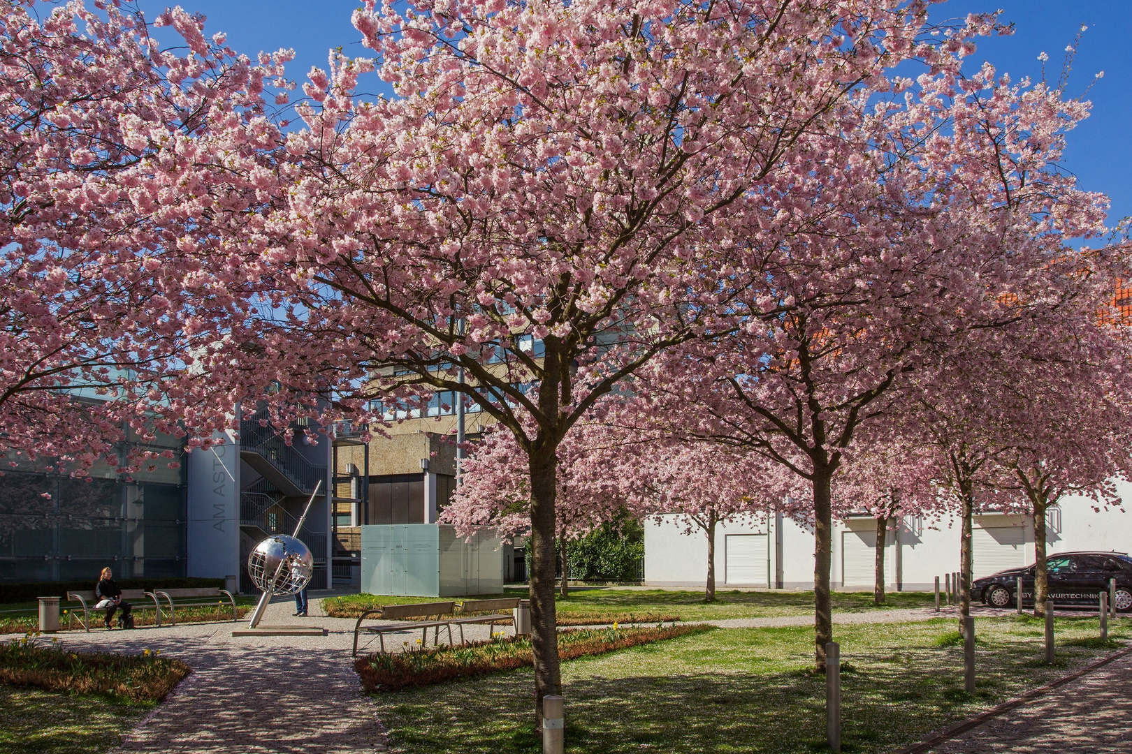 Walldorf im Blütenrausch