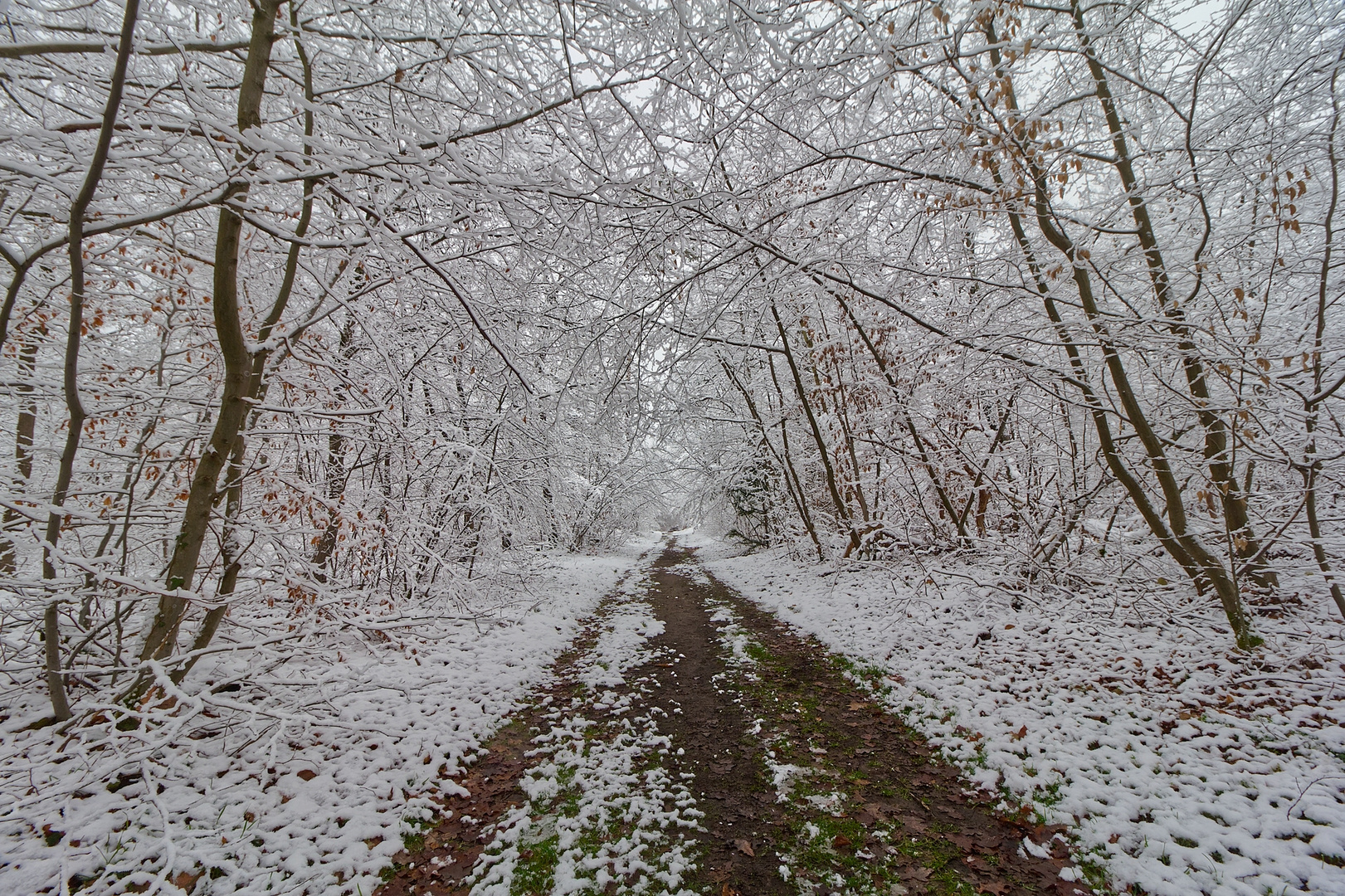 Walldorfer Winterintermezzo