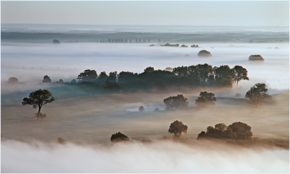 Wallende Nebel.....an der Elbe im Wendland