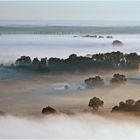 Wallende Nebel.....an der Elbe im Wendland