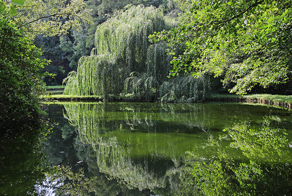 wallende wogen wabern über`s wasser...