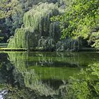 wallende wogen wabern über`s wasser...