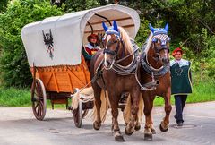 Wallenstein und seine Mannen (6)