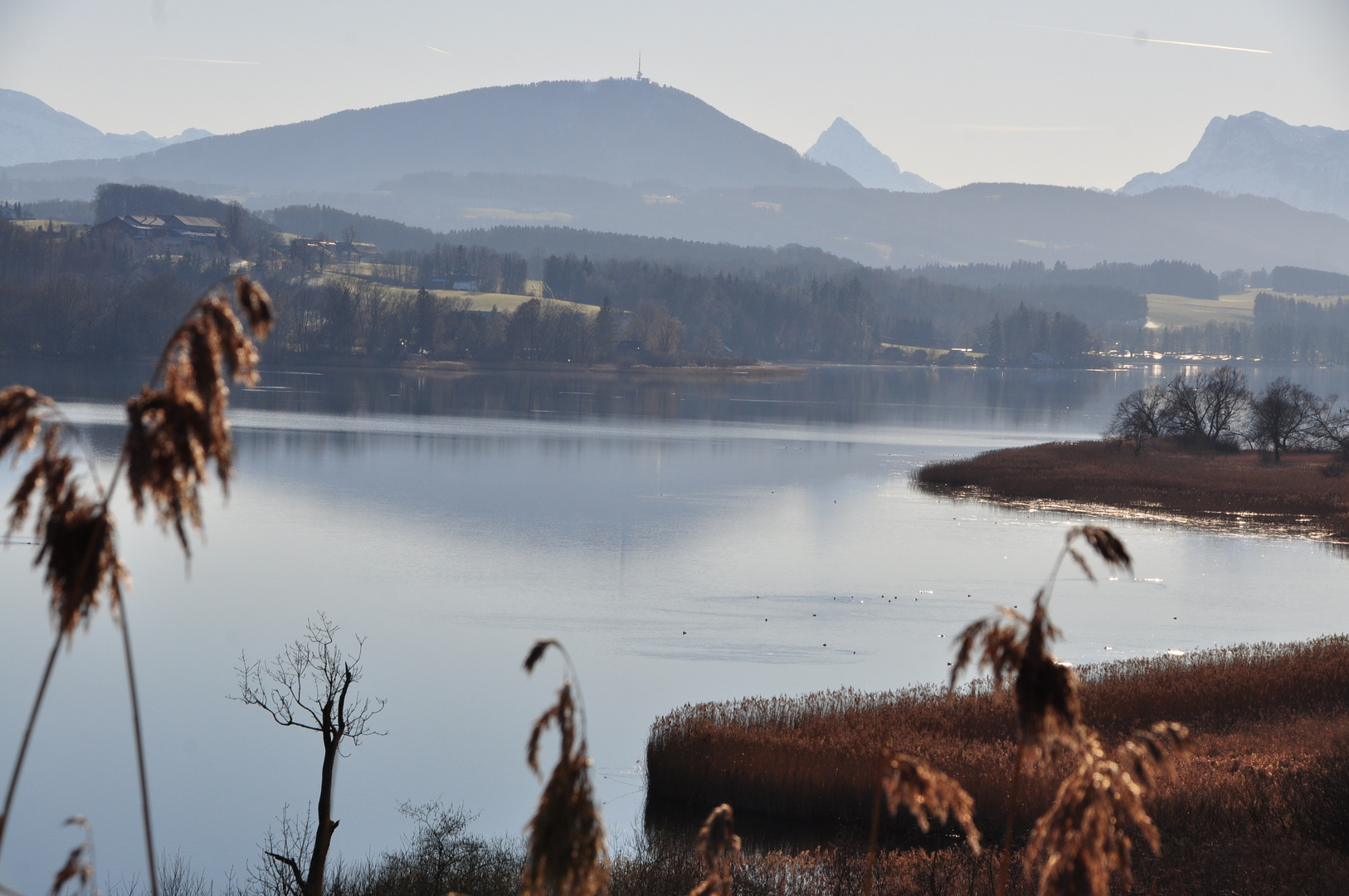 Wallersee