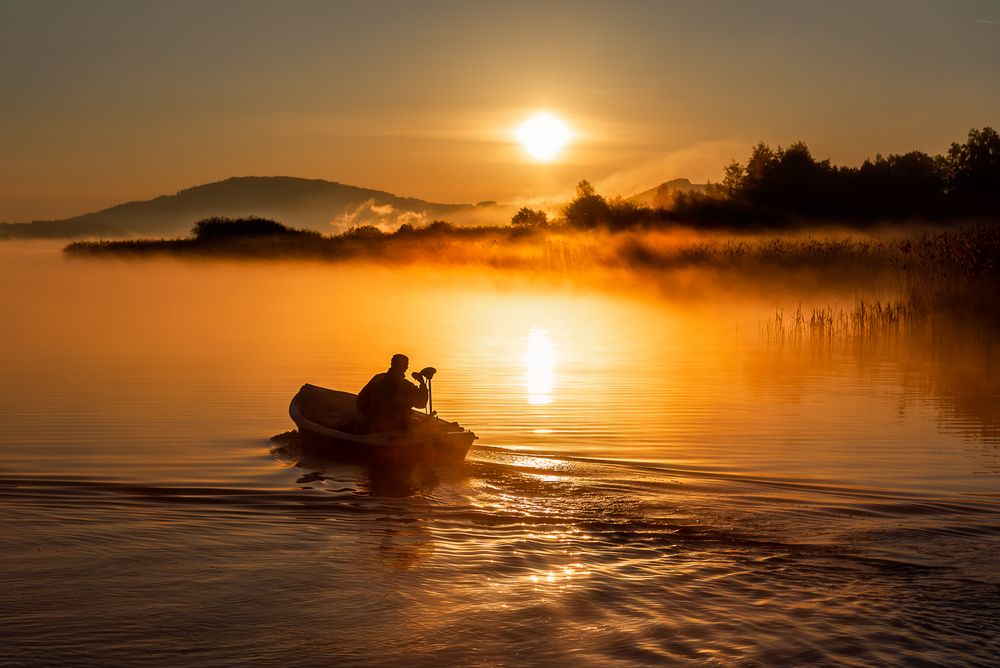 Wallersee Foto & Bild landschaft, bach, fluss & see, see, teich
