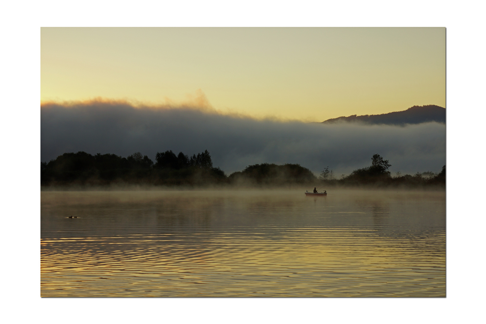 Wallersee am Morgen