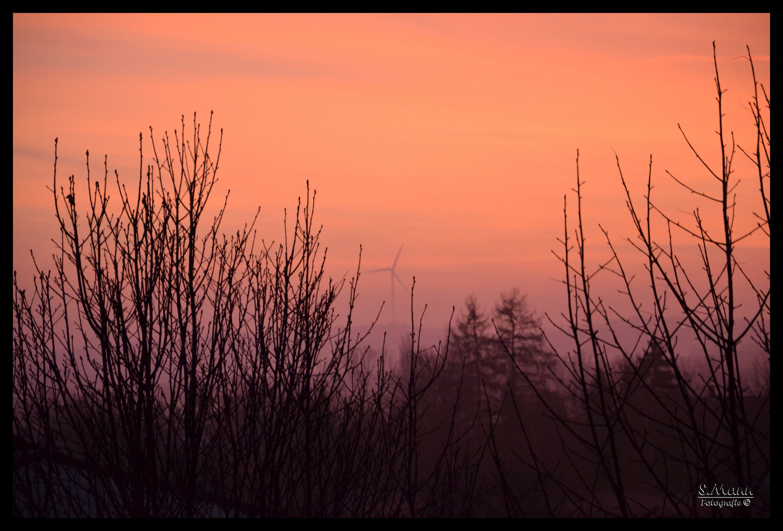 Wallertheim Sonnenaufgang