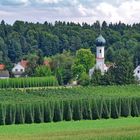 Wallfahrtskirche Mariae Himmelfahrt in Lohwinden