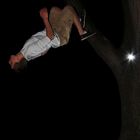 Wallflip am Baum